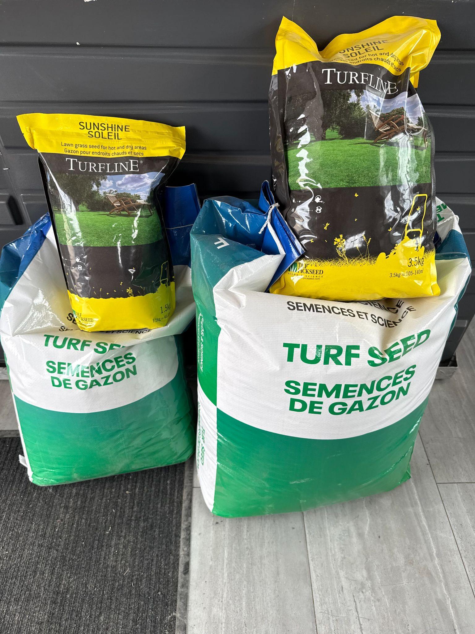 Pickseed Grass Seed